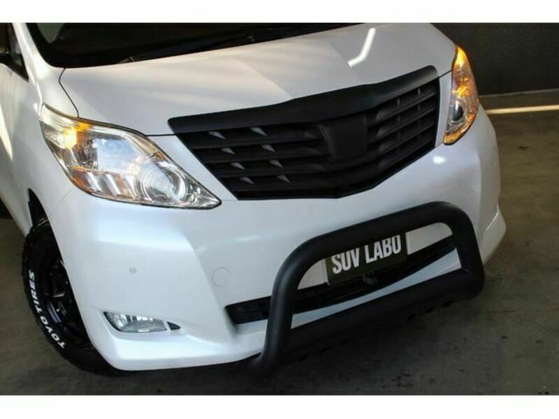 ALPHARD-3