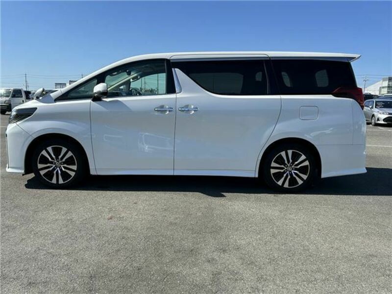 ALPHARD-6