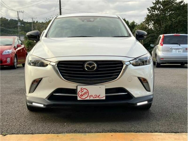 CX-3-1