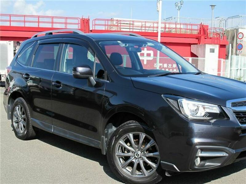 FORESTER-42