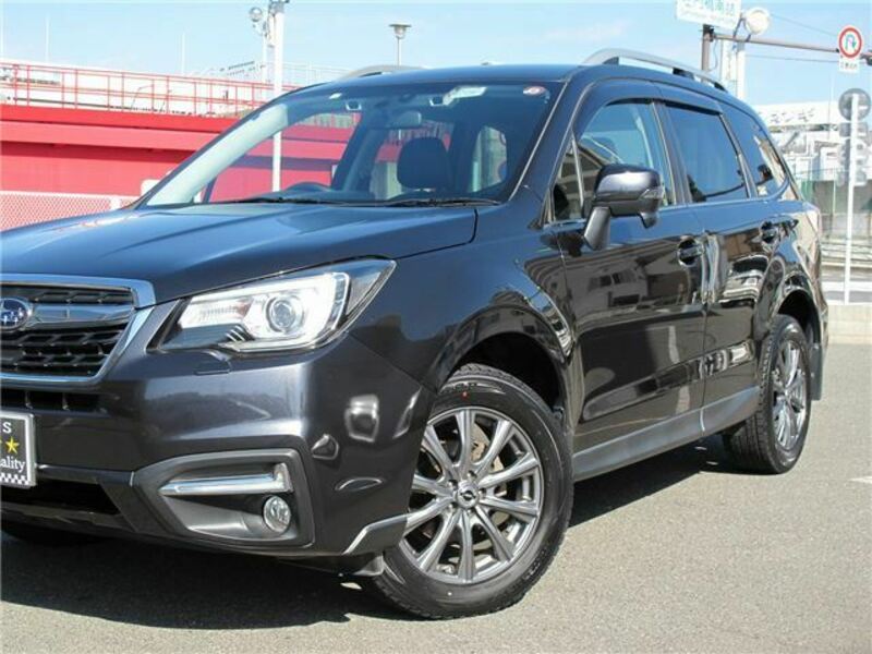 FORESTER-43