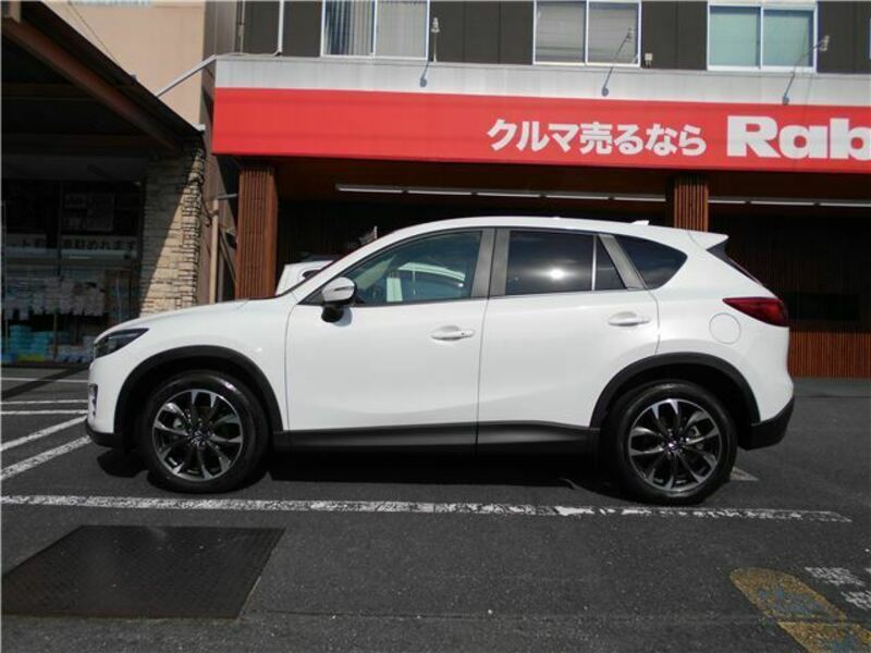 CX-5-6