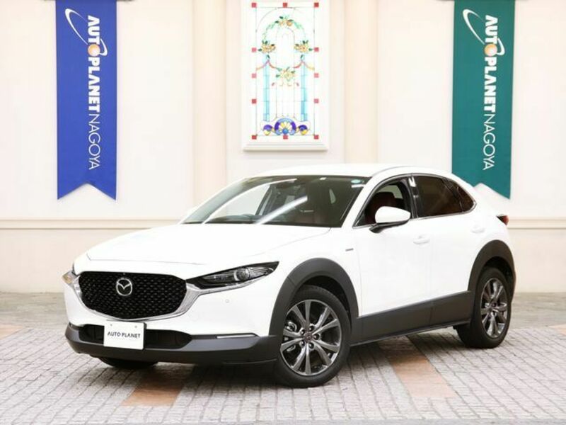 CX-30