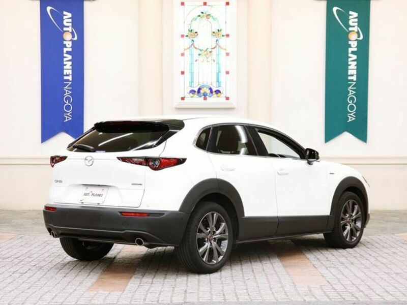 CX-30-2