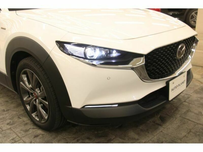 CX-30-23