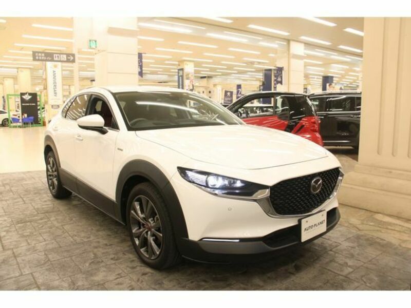 CX-30-25