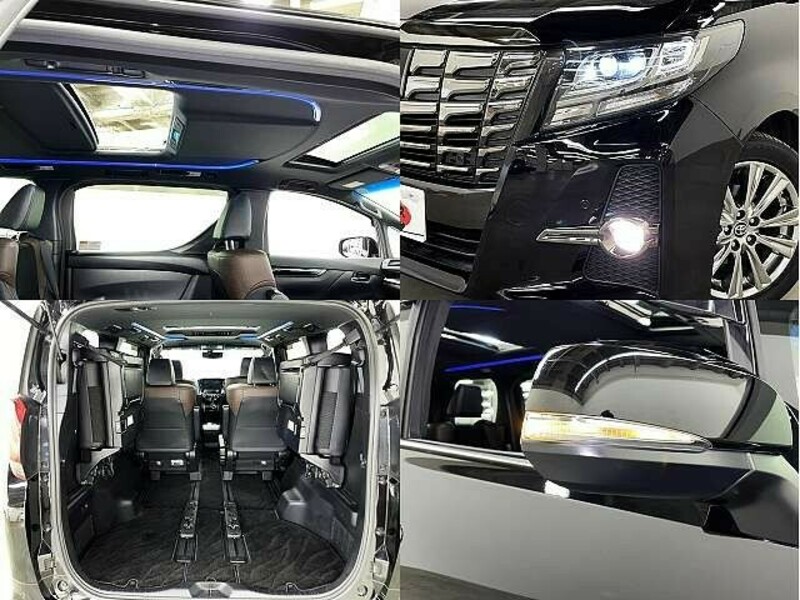 ALPHARD-7