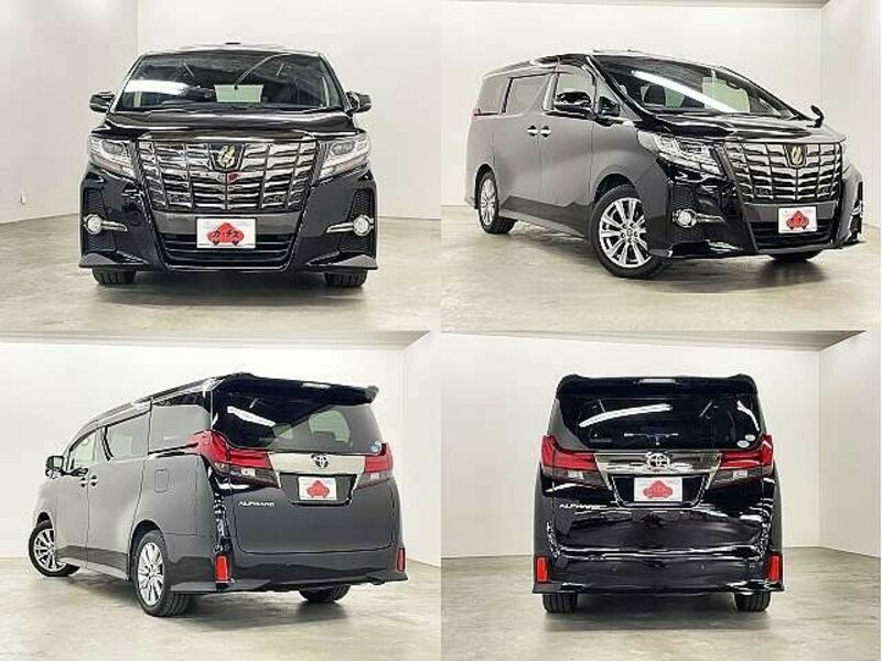 ALPHARD-8