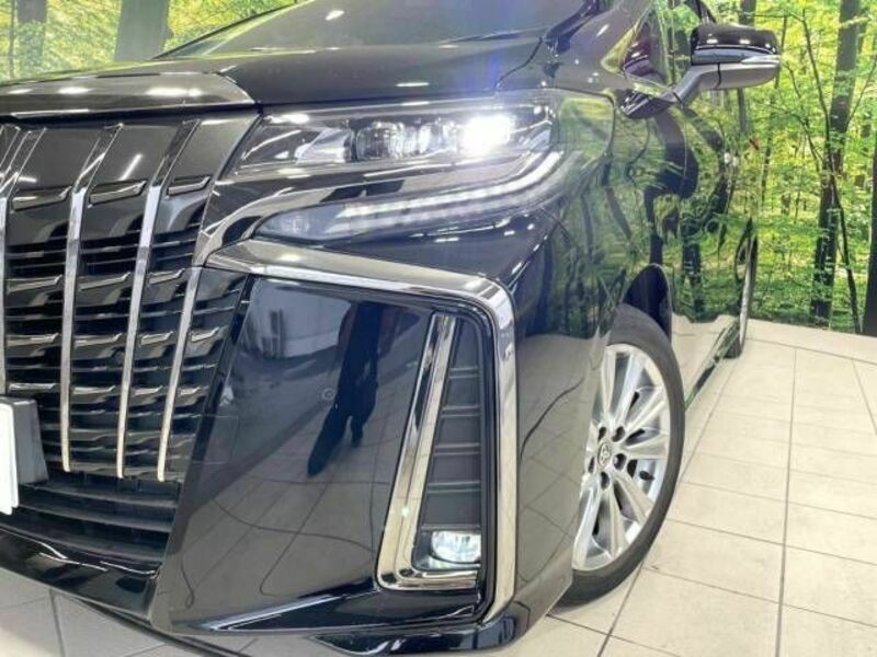 ALPHARD-13