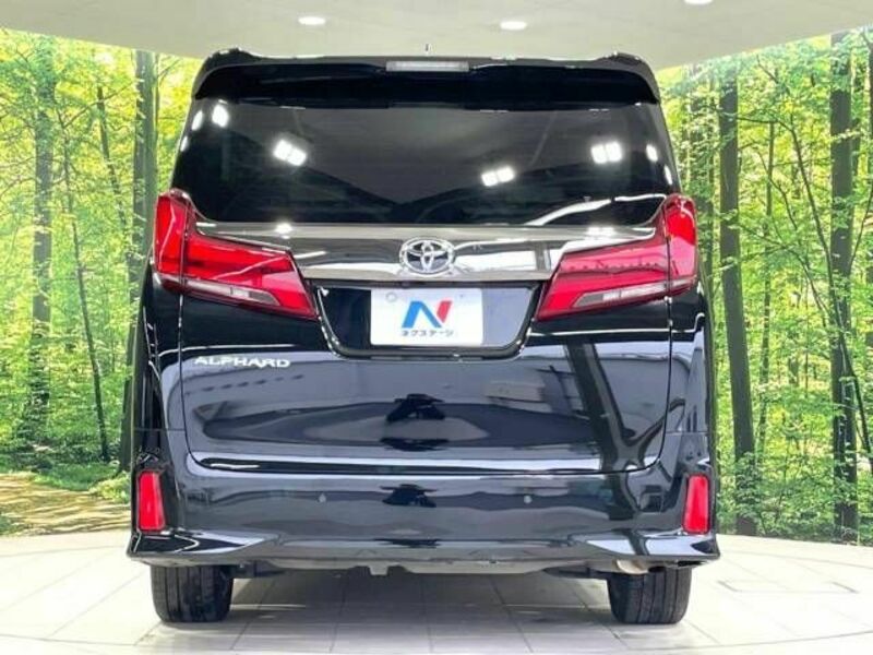 ALPHARD-16