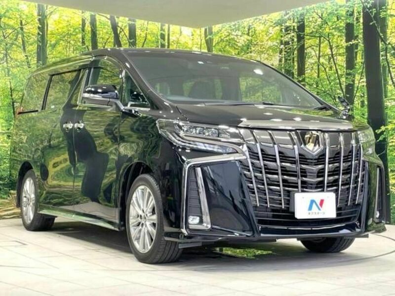 ALPHARD-17