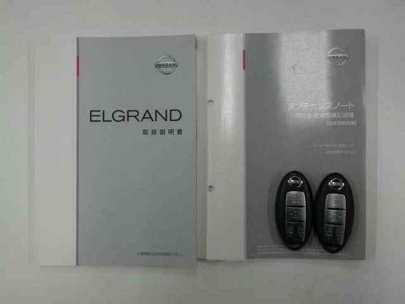 ELGRAND-29