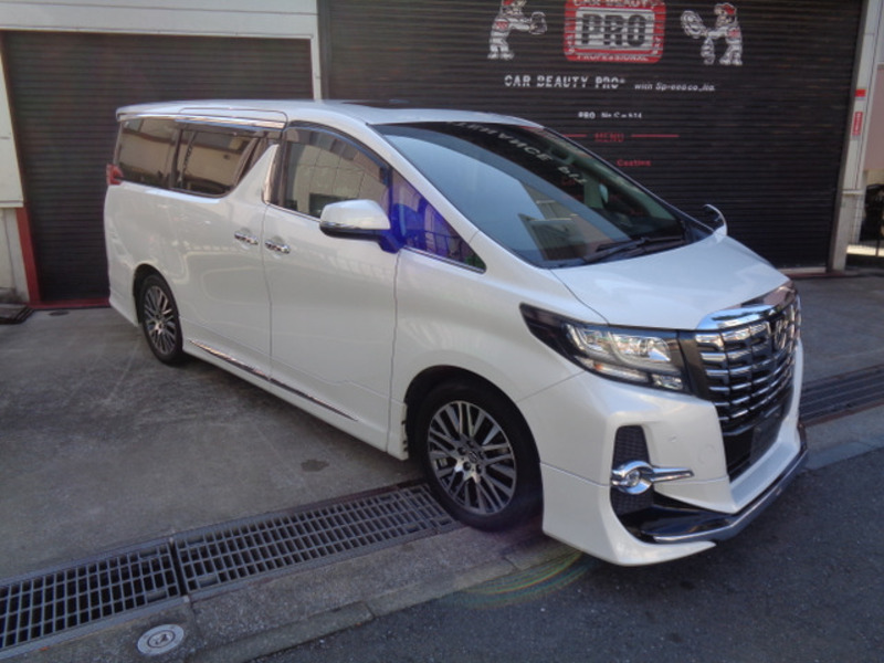 ALPHARD-6