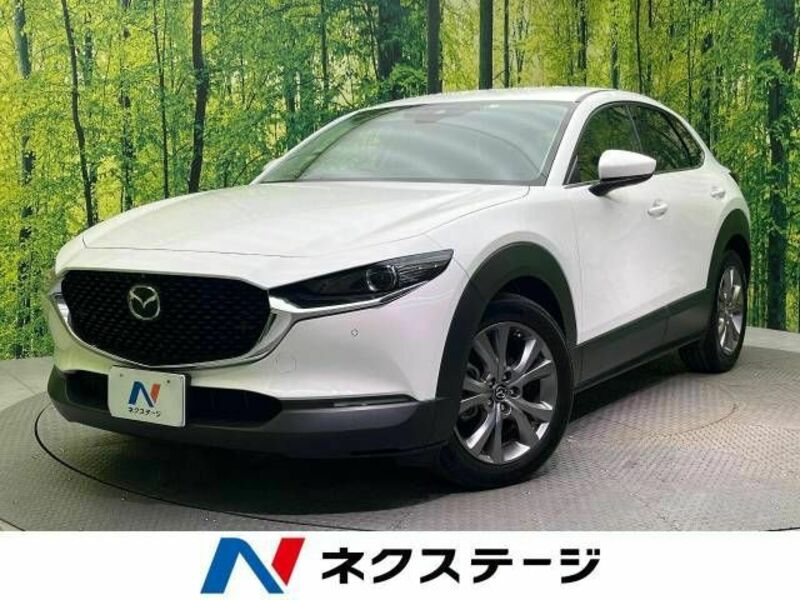 CX-30