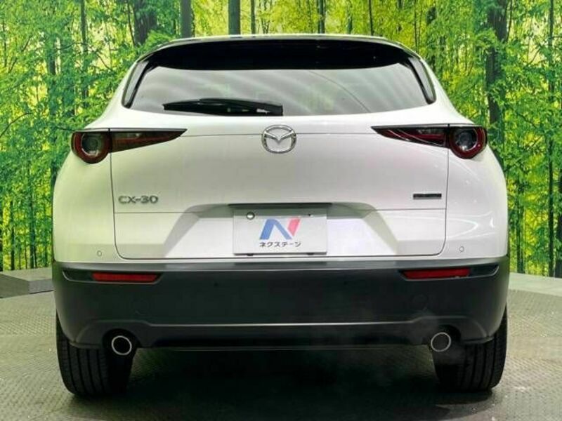 CX-30-15