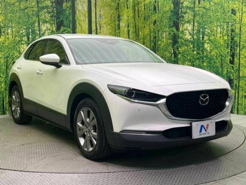 CX-30-16