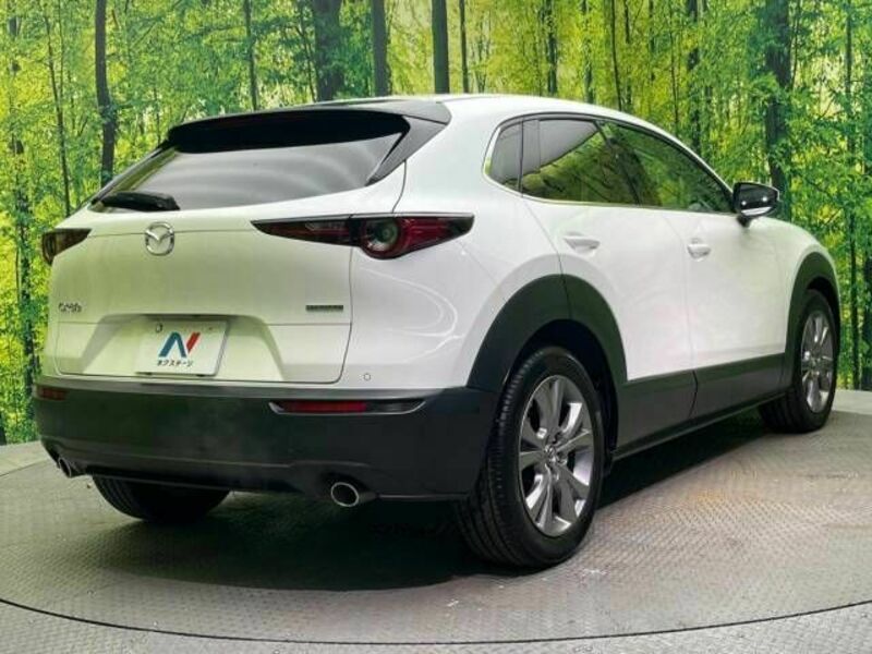 CX-30