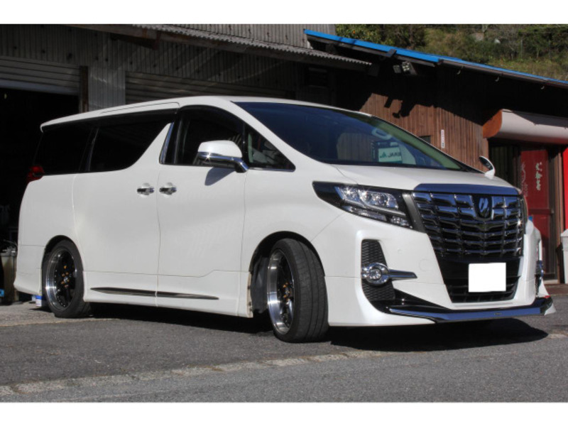 ALPHARD-2