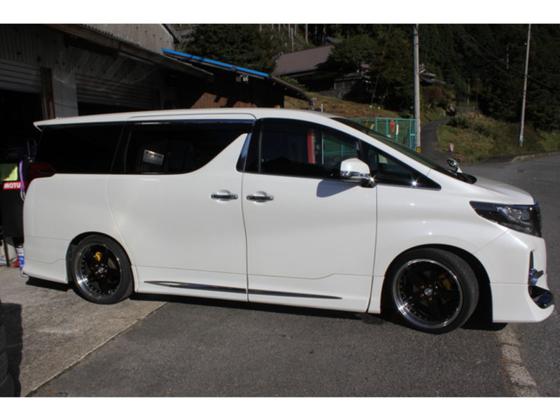 ALPHARD-3