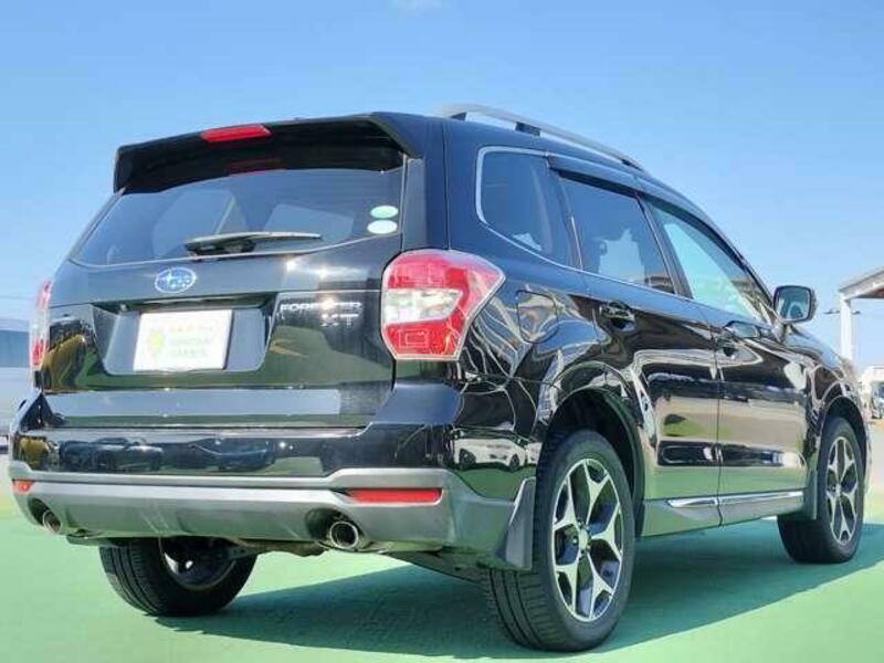 FORESTER-1