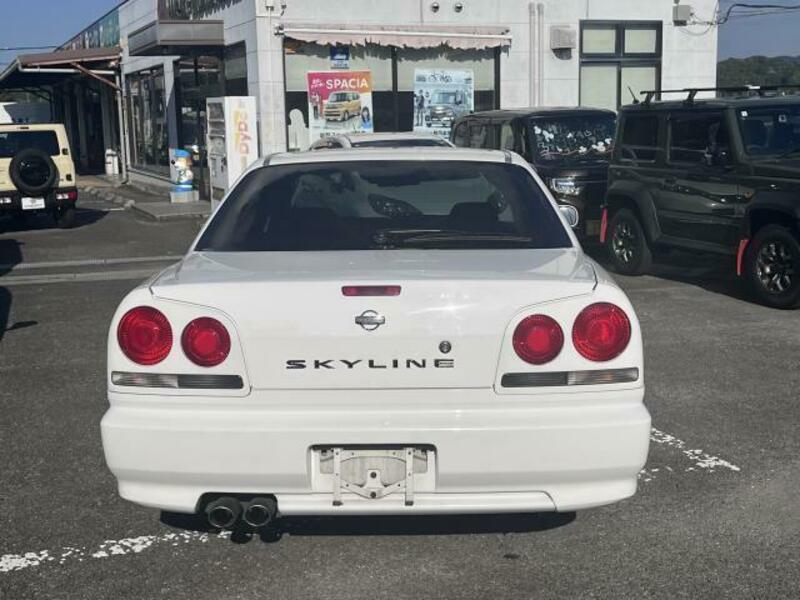 SKYLINE-1