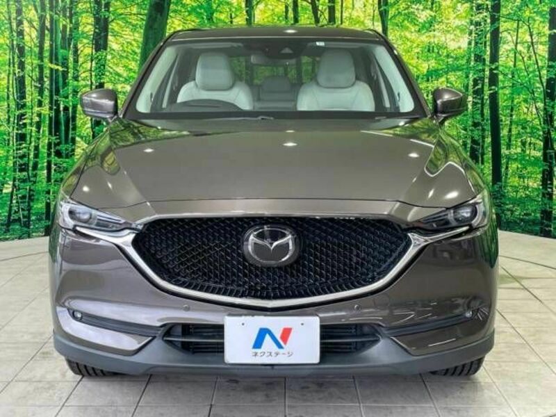 CX-5-16