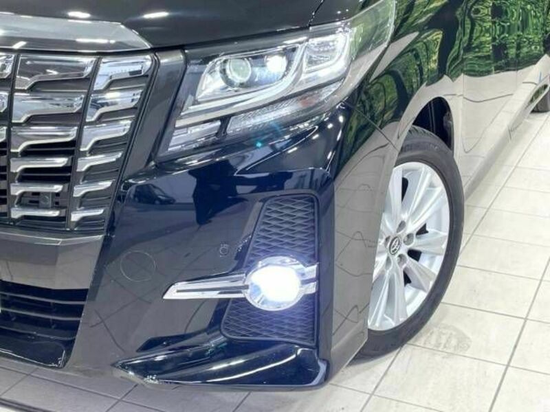 ALPHARD-13