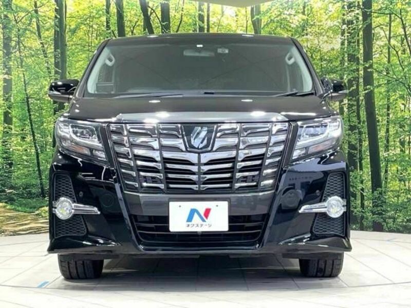 ALPHARD-15