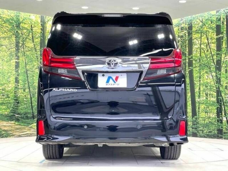 ALPHARD-16