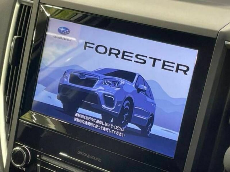 FORESTER-2