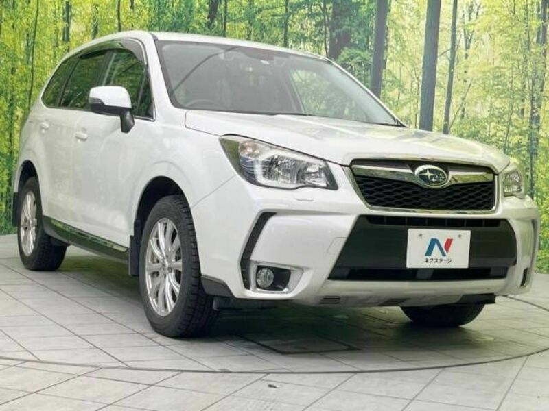 FORESTER-16