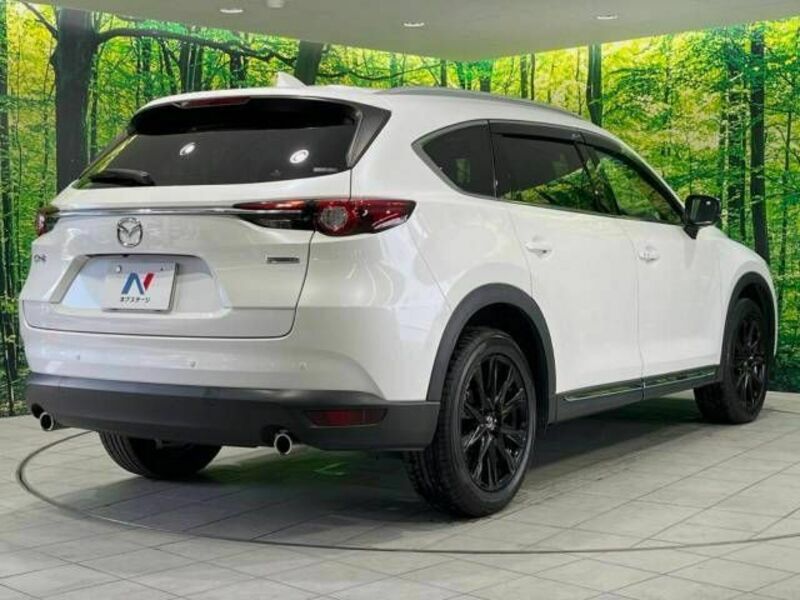 CX-8-18