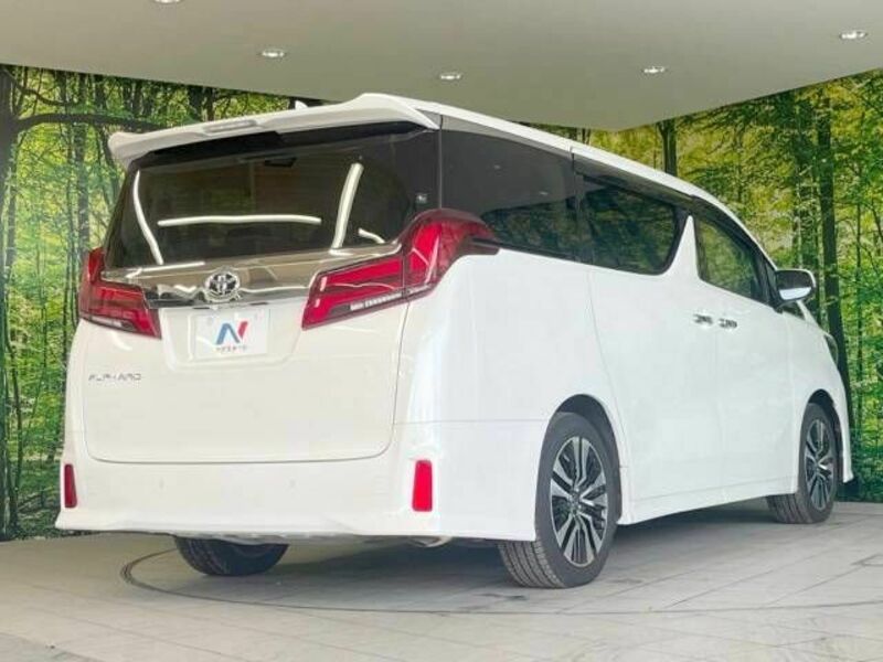 ALPHARD-17