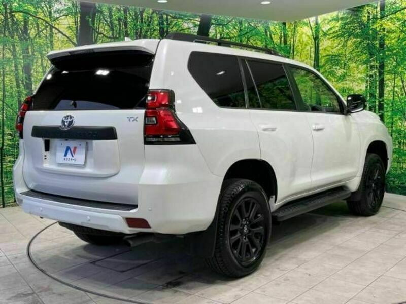 LAND CRUISER PRADO-17