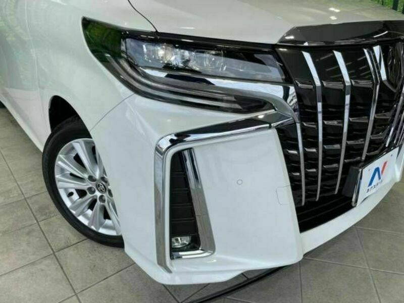 ALPHARD-14