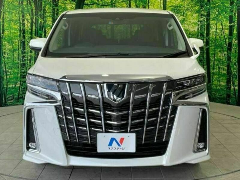 ALPHARD-16