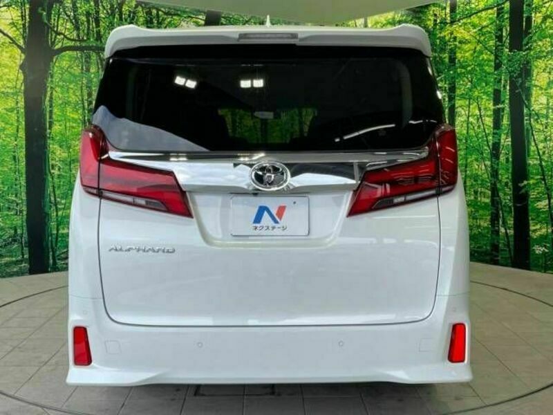 ALPHARD-17