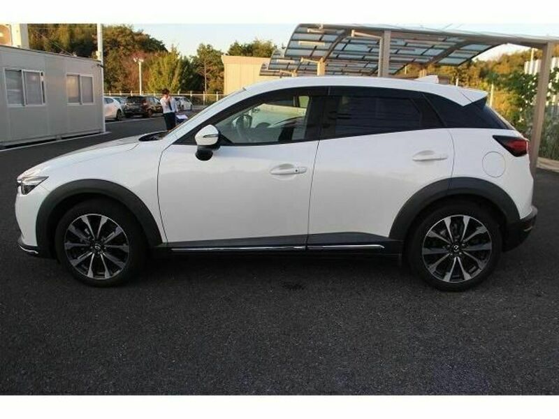 CX-3-8