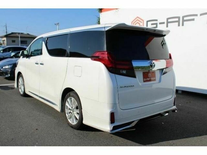 ALPHARD-6