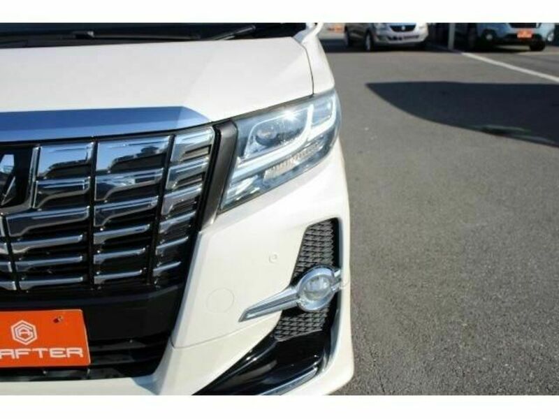 ALPHARD-10