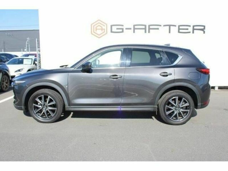 CX-5-8