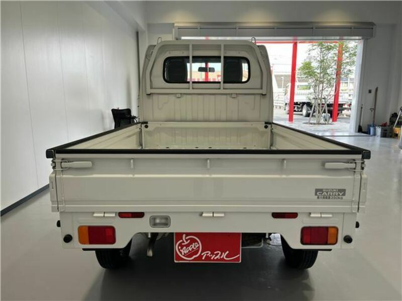 CARRY TRUCK-6