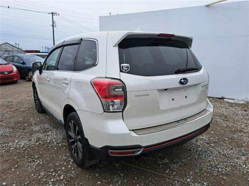 FORESTER-1