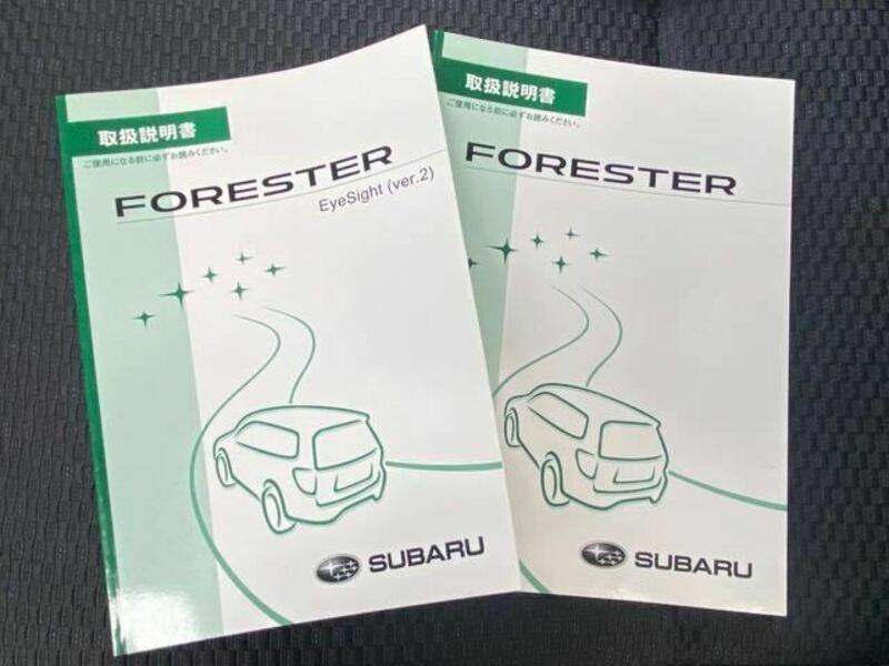 FORESTER-29