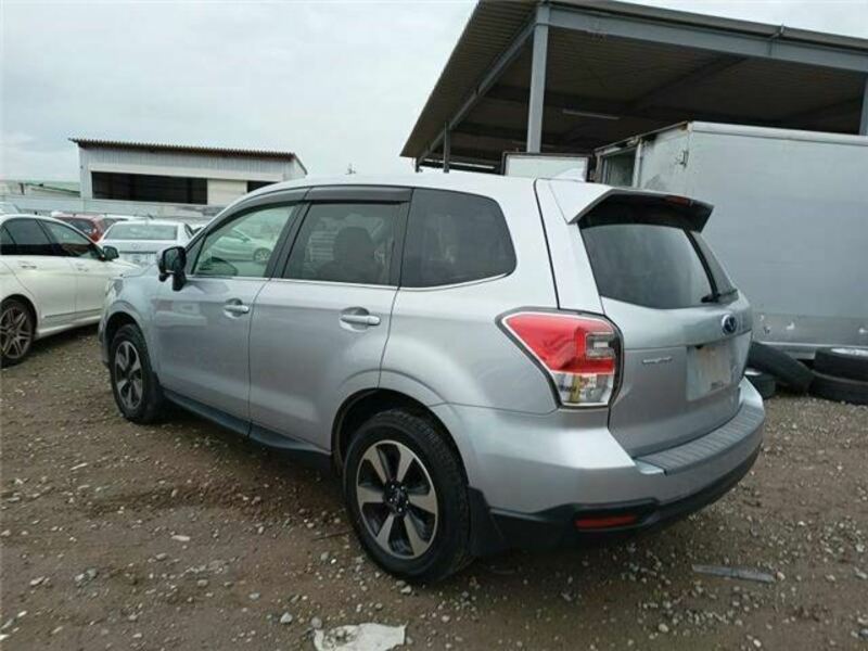 FORESTER-1