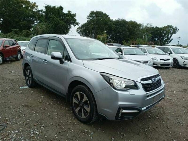 FORESTER-4