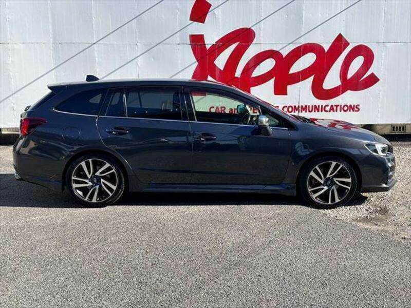 LEVORG-12