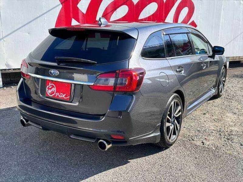 LEVORG-13