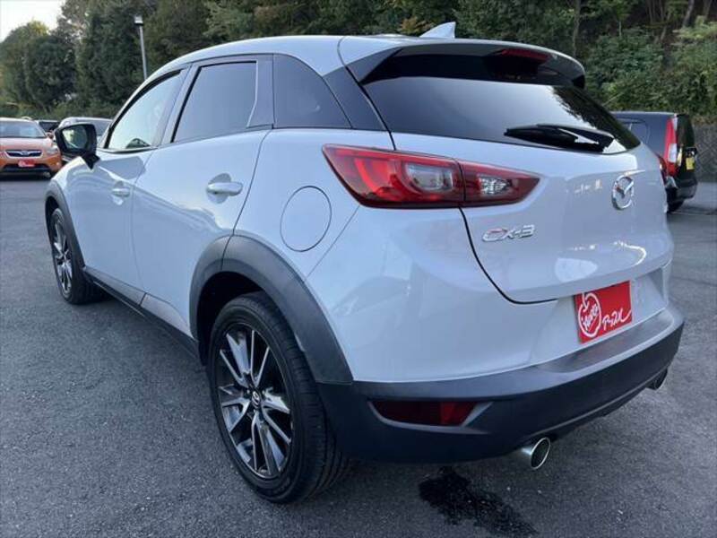 CX-3-19