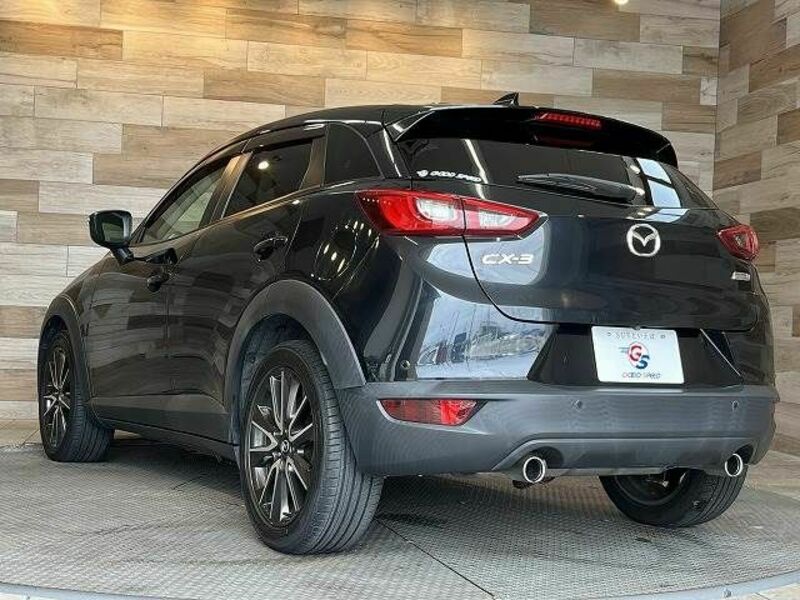 CX-3-15